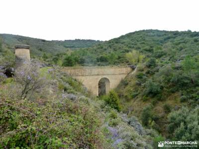 Alcornocal Dehesa Vieja-Atalaya Arrebatacapas;ruta imperial valle de aspe semana santa portugal